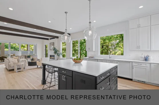 Classic Home Builder Kitchen 008