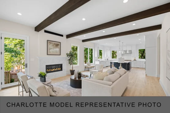 New Home Builder Living Room 003